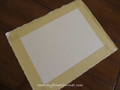 5x7 inch rectangle with masked border on 300 lb paper for splatterd paint flower garden painting-myflowerjournal.com