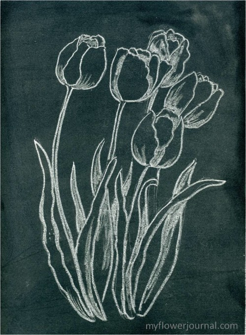 How to do Anthropologie inspired flower chalkboard art-myflowerjournal