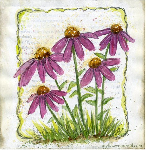 Purple Cone Flowers in Watercolor on Gesso on Old Book Pages-myflowerjournal.com