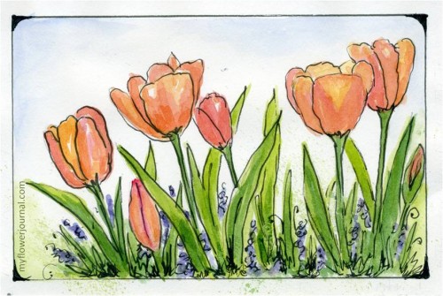 Tulip Watercolor Painting with a simple border-myflowerjournal