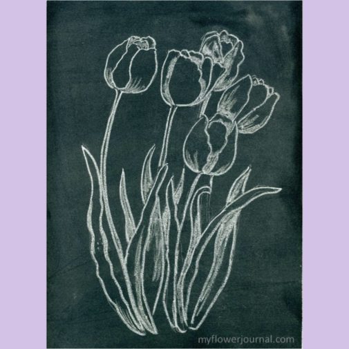 This is another flower chalk art I did. I got the flower design from Treasury of Flower Designs. This is another good book to own if you like to include flowers in your art or craft projects.
