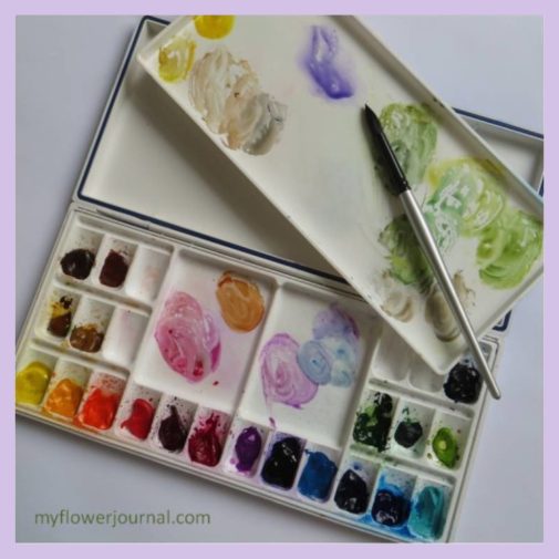 My Watercolor Paints and Heritage 24 Well Palette