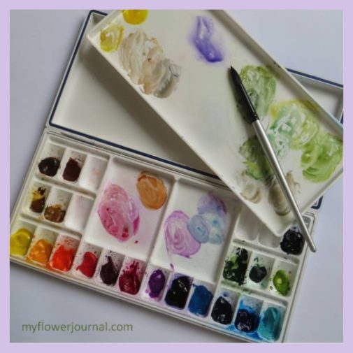 My Watercolor Paints and Heritage 24 Well Palette-myflowerjournal My Watercolor Paints and Heritage 24 Well Palette