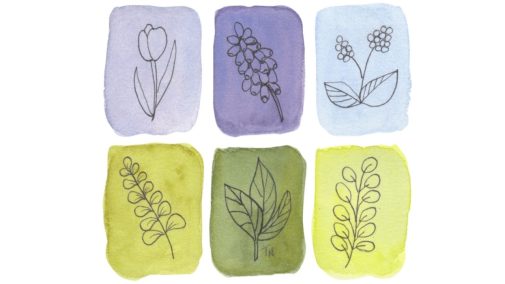 Botancial line drawings on watercolor swatches