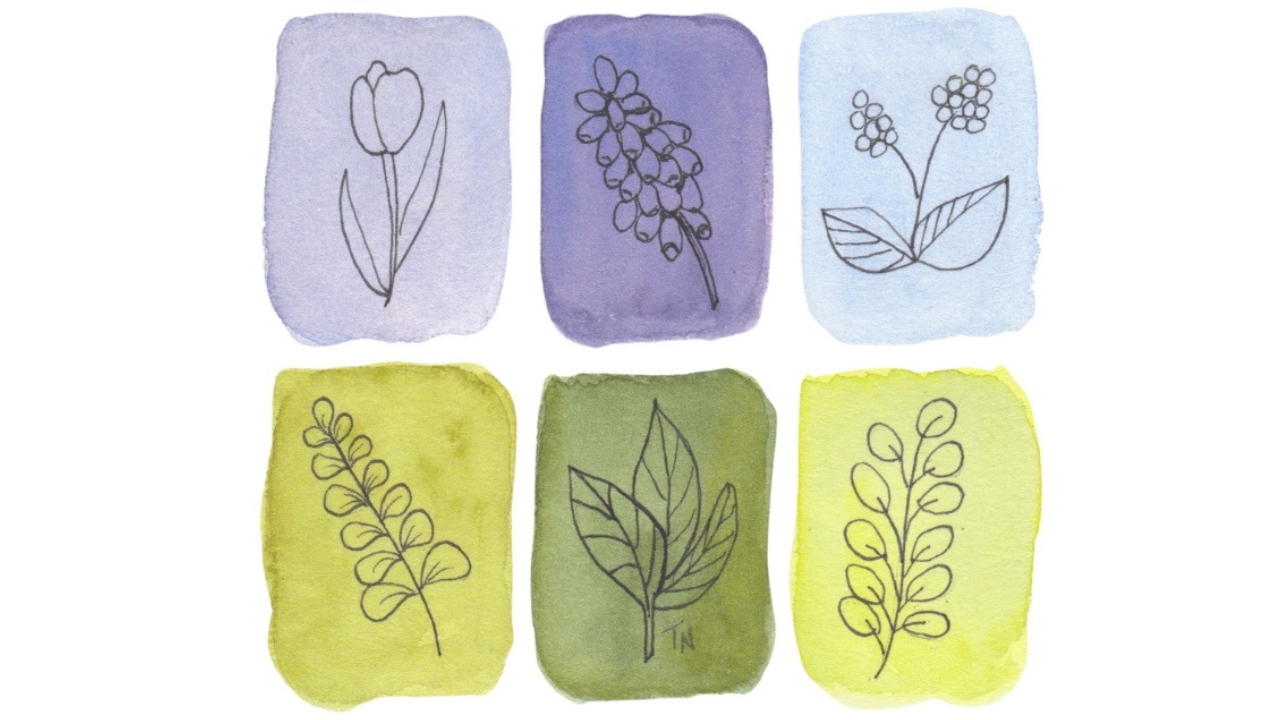 Have Fun With Color Swatches in Watercolor!