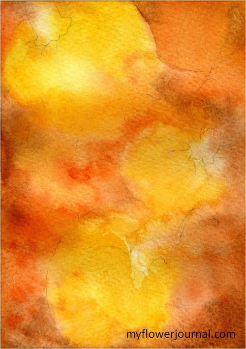 First wash of color for Watercolor Pumpkins-myflowerjournal