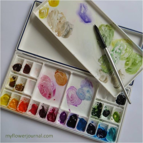 My Watercolor Paints and Heritage 24 Well Palette-myflowerjournal