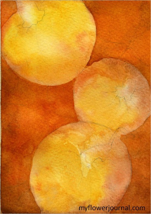 Painting a Pile of Pumpkins in Watercolor-myflowerjournal