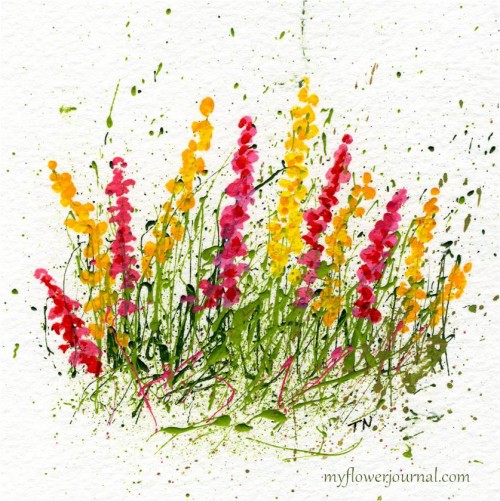 Splattered Paint Flowers- Poppies and Delphiniums-myflowerjournal.com