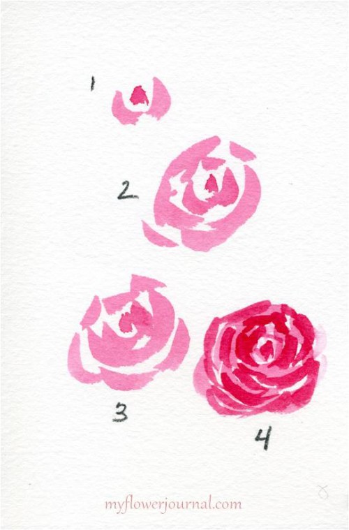 How To Paint Simple Watercolor Roses-myflowerjournal.com