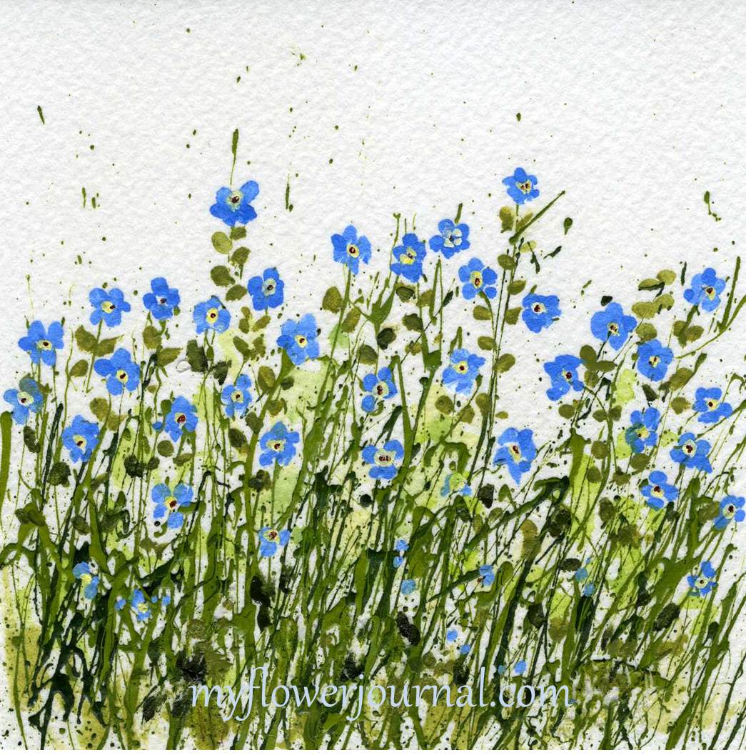 Forget Me Not Flower Art And Quote My Flower Journal Forget Me Not Flower Art And Quote My Flower Journal
