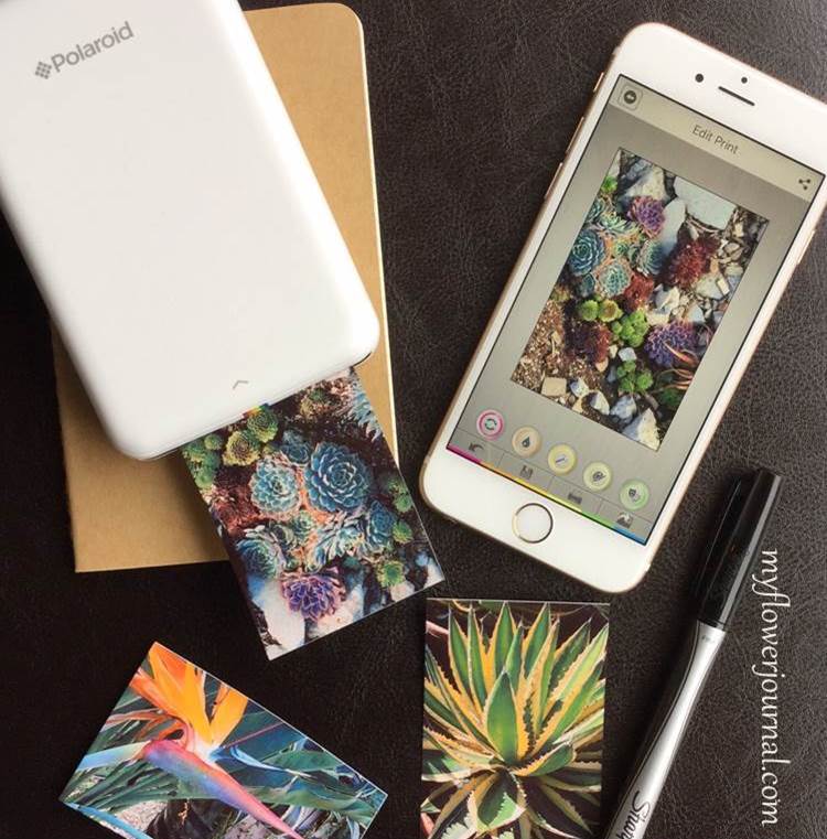 the polaroid zip mobile printer for on the go projects my flower how to print from my iphone