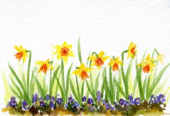Daffodil Doodles In 4 Easy Steps