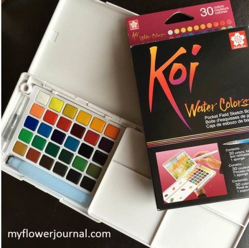 My new Koi Pocket Watercolor set now has 30 beautiful colors that make it great for on the go projects. Review by myflowerjournal