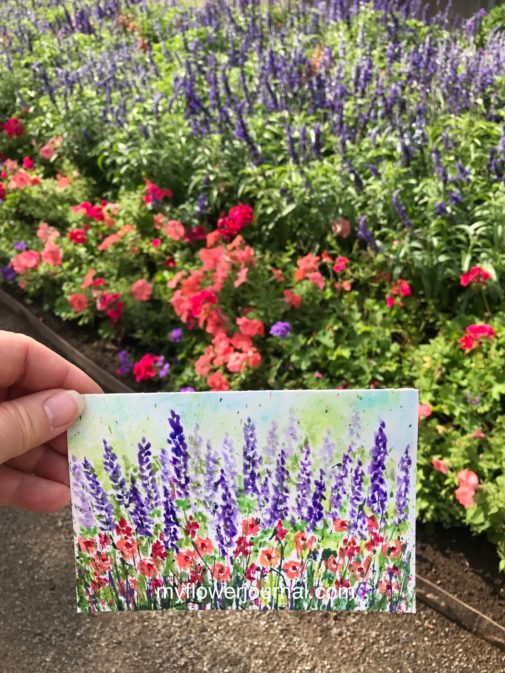 Read about how I added watercolors to acrylic paint splatters on Strathmore watercolor postcards as I did some plein air painting in a garden near my home. myflowerjournal.com