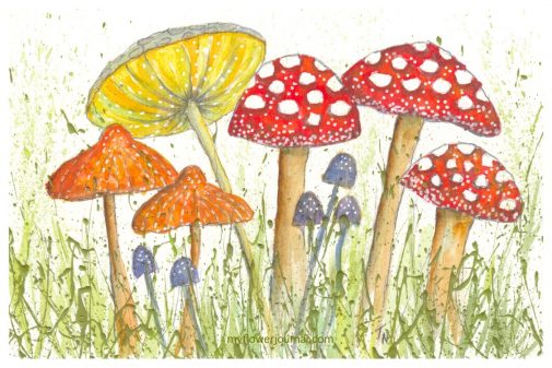 Its so fun to add watercolor mushrooms to splattered acrylic paint. Learn more on myflowerjournal.com