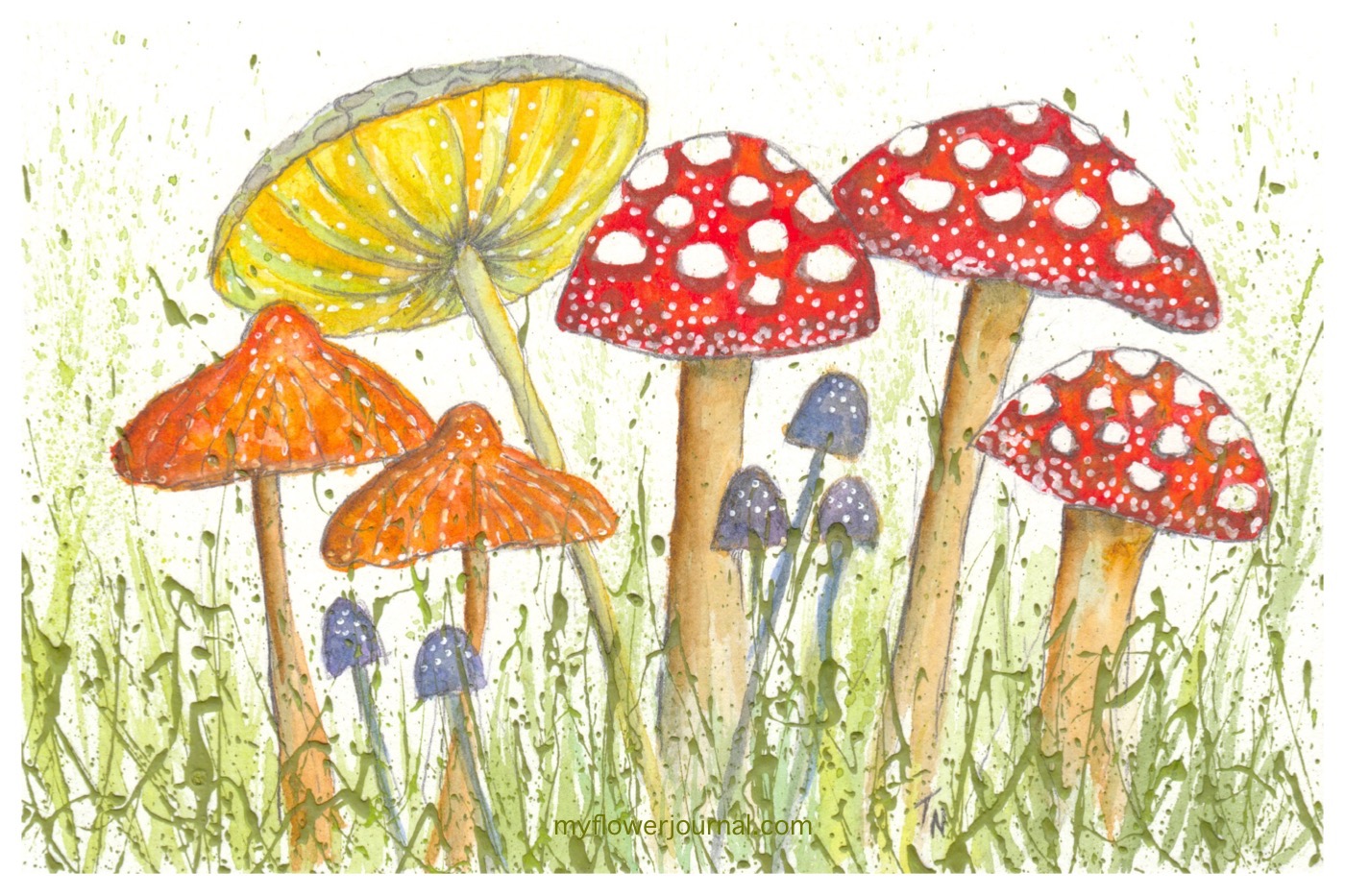Whimsical Watercolor Mushrooms My Flower Journal