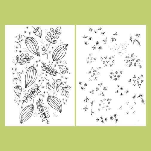 My botanical line drawings and doodles