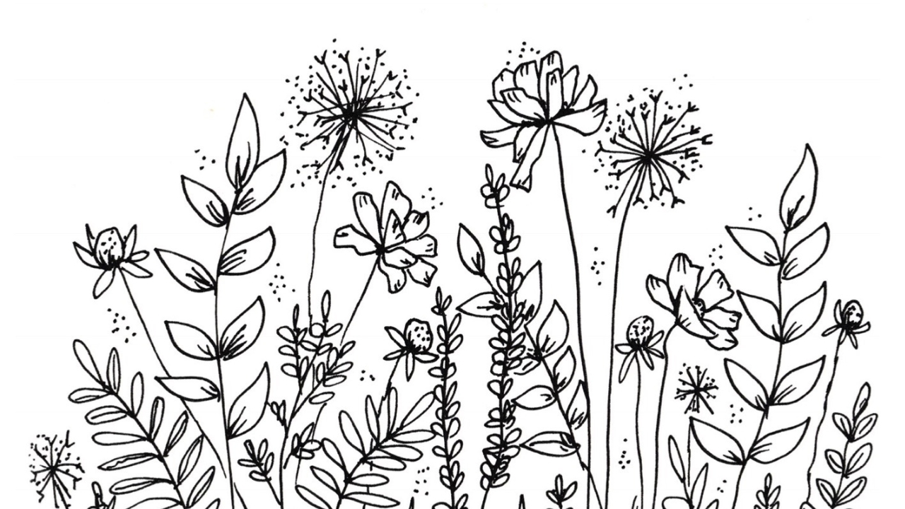 Art Supply Kit: Practice of Botanical Drawing