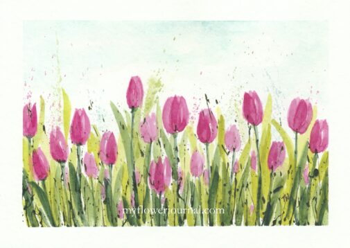 Learn how to paint pretty tulips in watercolor with this tutorial from myflowerjournal.com