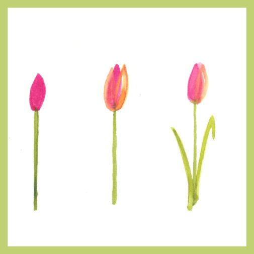 Use this easy watercolor tulip tutorial to create beautiful spring art from myflowerjournal.com