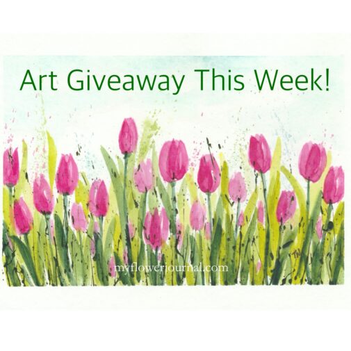 Art Giveaway This Week: Three watercolor tulip paintings from myflowerjournal.com