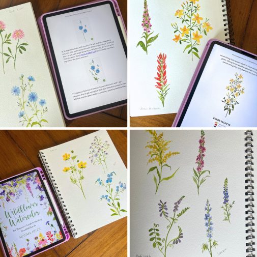 Wildflower Watercolor practice by Tammy Northrup