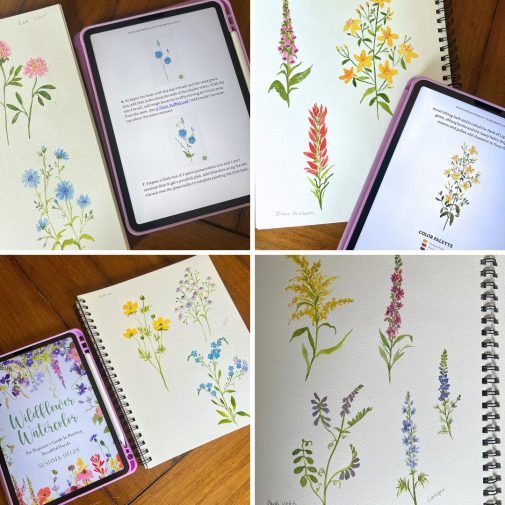 Wildflower Watercolor Book