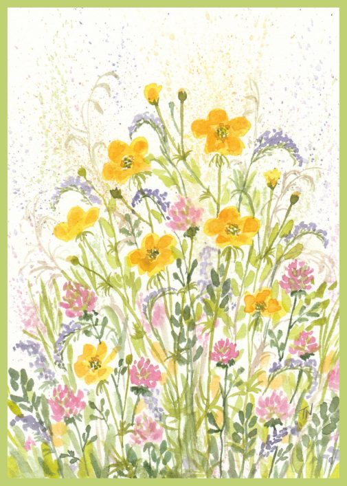 Buttercup wildflower watercolor
