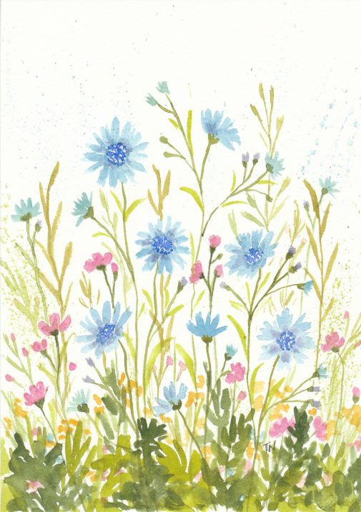 Wildflower Watercolors on my flower journal.com